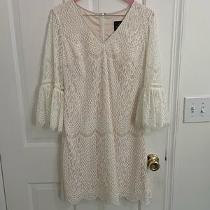 Lace Adrianna Papell dress